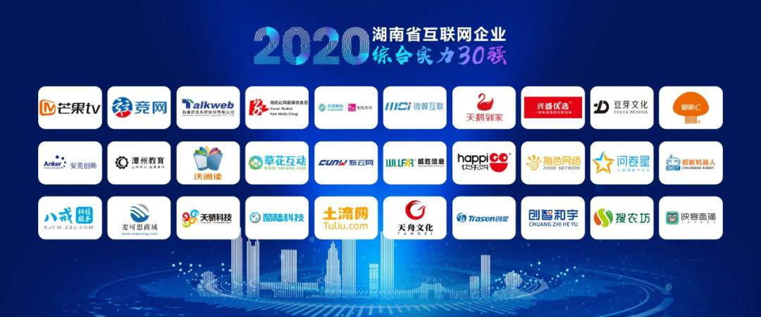 2020年湖南省互联网企业综合实力30强榜单